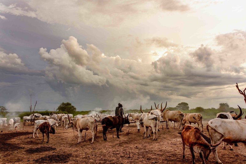 Cattle Camp, South Sudan