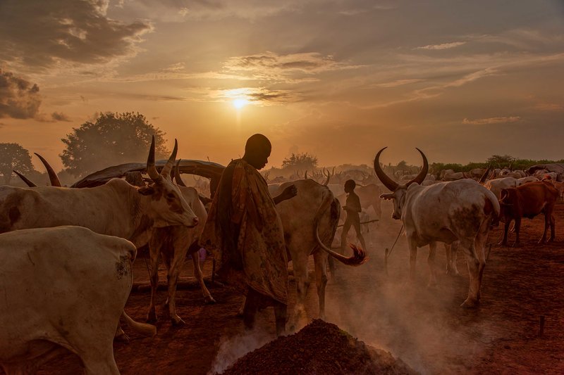 Mundari Tribe, South Sudan 7